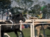ren-faire-111